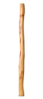 Medium Size Natural Finish Didgeridoo (TW1745)